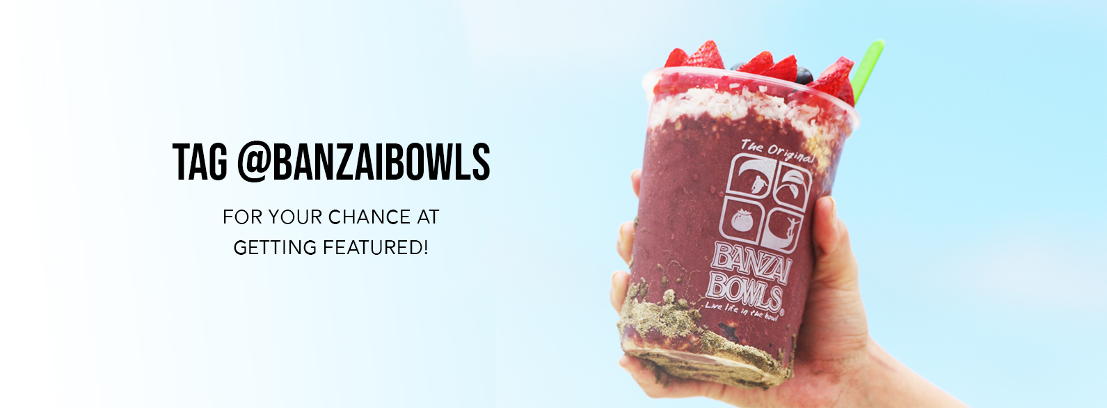 Banzai Bowls Live Life in the Bowl